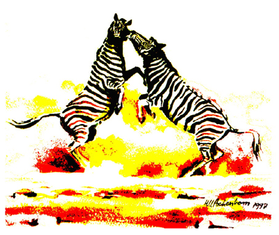 Bild Zwei kämpfende Zebras auf der Etosha-Pfanne von Uli Aschenborn